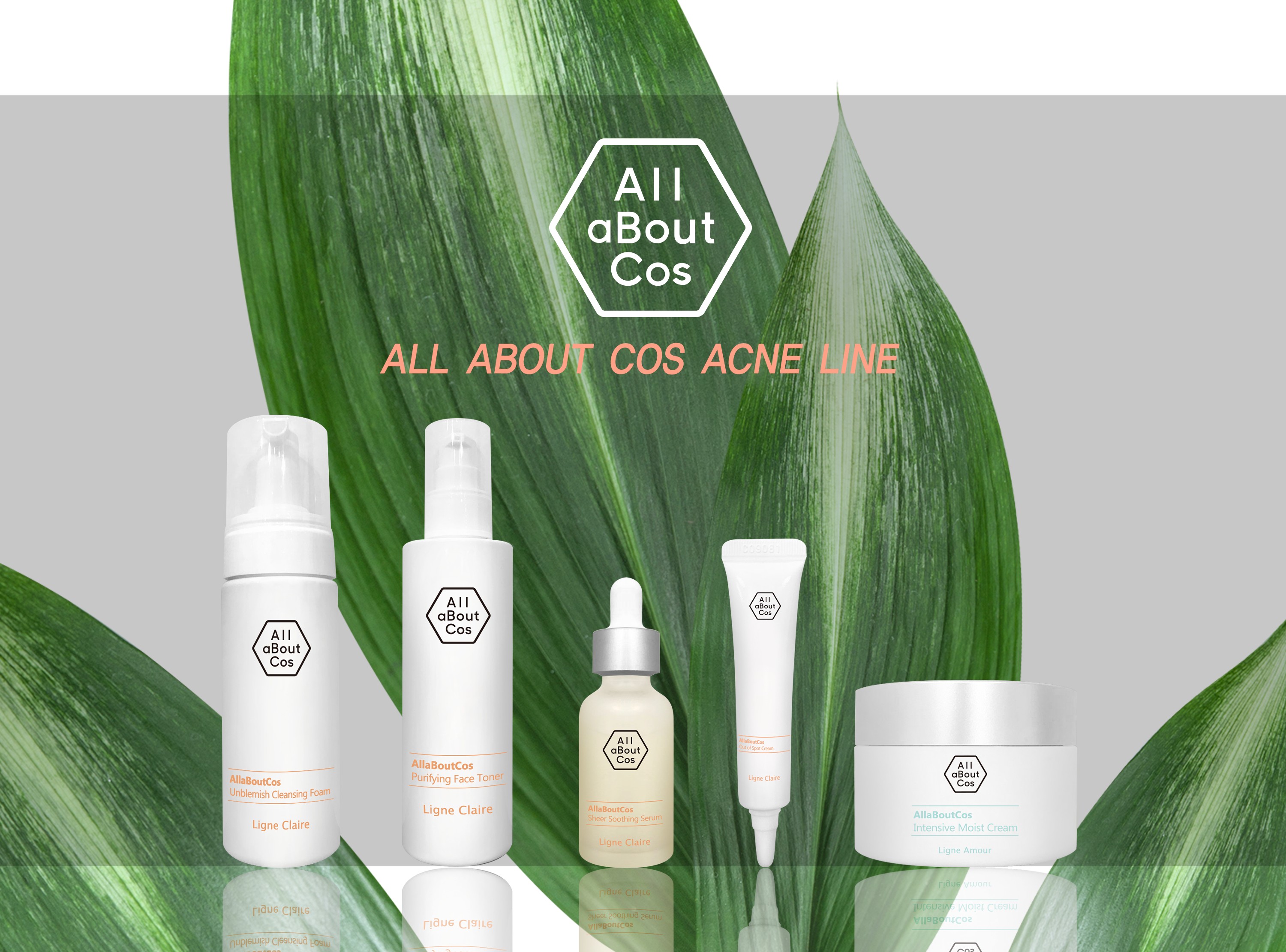 ALL ABOUT COS ACNE LINE(图1)