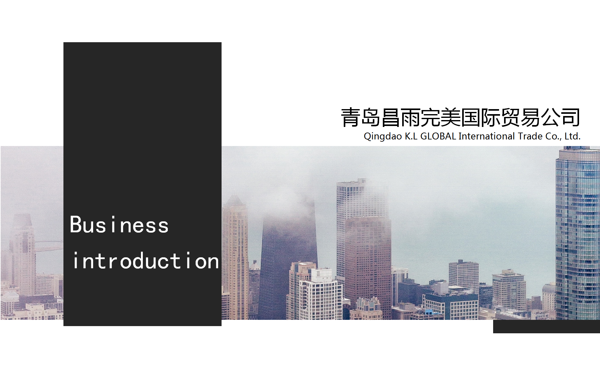 公司简介(图26)