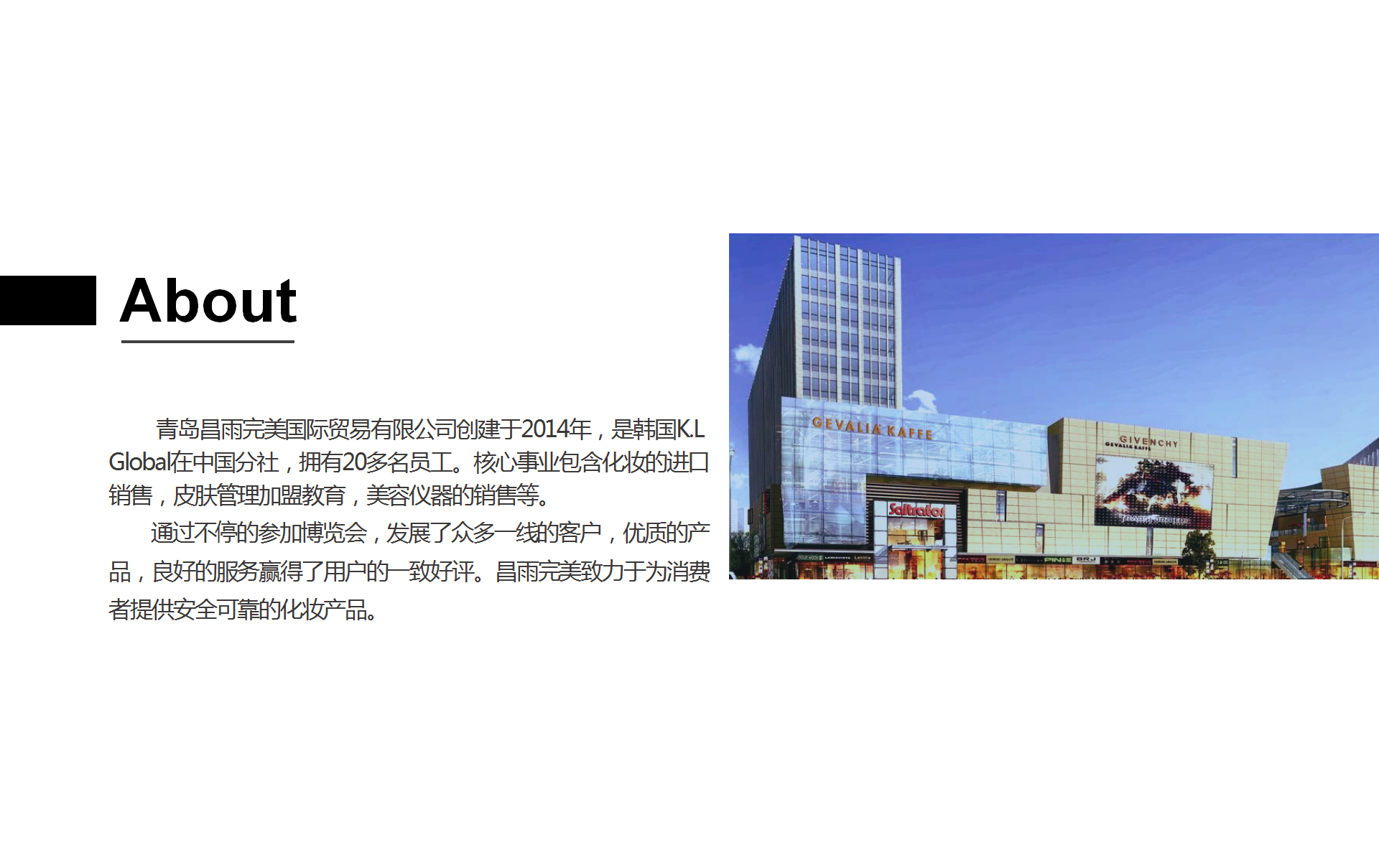 公司简介(图27)