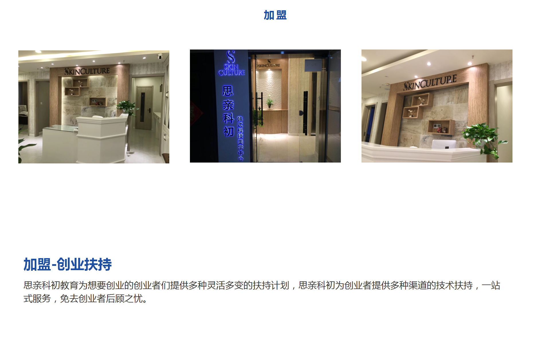 公司简介(图31)
