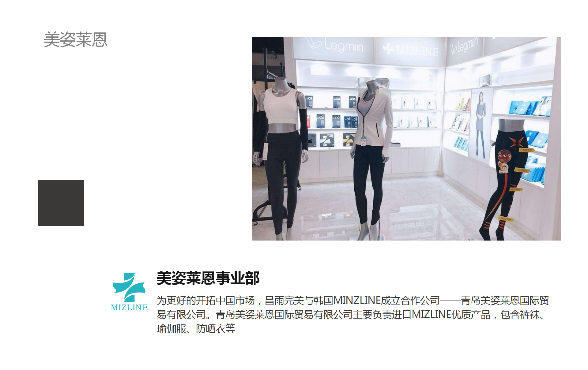 公司简介(图35)